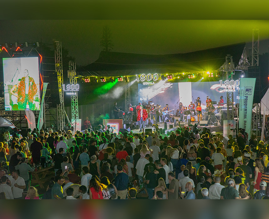 A shot of concert goers enjoying the event